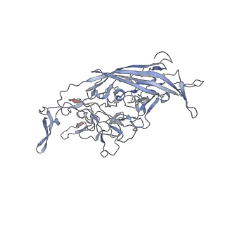 29598_8fyw_W_v1-0
Cryo-EM Structure of genome containing AAV2