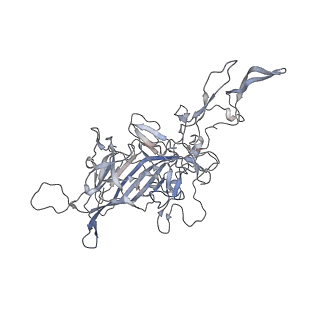 29598_8fyw_X_v1-0
Cryo-EM Structure of genome containing AAV2