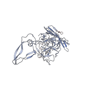 29598_8fyw_Z_v1-0
Cryo-EM Structure of genome containing AAV2
