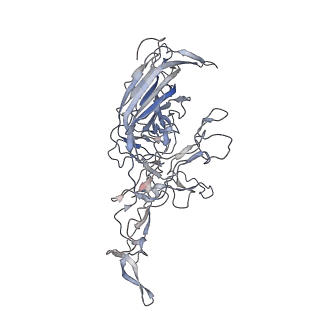 29598_8fyw_a_v1-0
Cryo-EM Structure of genome containing AAV2