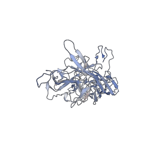 29598_8fyw_b_v1-0
Cryo-EM Structure of genome containing AAV2