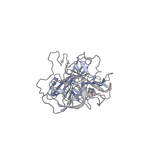 29598_8fyw_c_v1-0
Cryo-EM Structure of genome containing AAV2