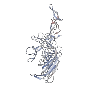29598_8fyw_d_v1-0
Cryo-EM Structure of genome containing AAV2