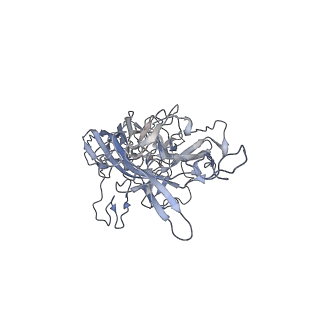 29598_8fyw_e_v1-0
Cryo-EM Structure of genome containing AAV2