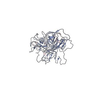 29598_8fyw_f_v1-0
Cryo-EM Structure of genome containing AAV2