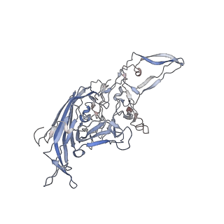 29598_8fyw_g_v1-0
Cryo-EM Structure of genome containing AAV2