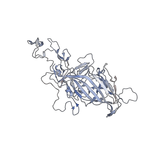29598_8fyw_h_v1-0
Cryo-EM Structure of genome containing AAV2