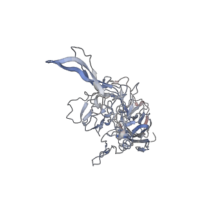 29598_8fyw_i_v1-0
Cryo-EM Structure of genome containing AAV2