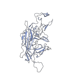 29598_8fyw_j_v1-0
Cryo-EM Structure of genome containing AAV2