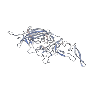 29598_8fyw_k_v1-0
Cryo-EM Structure of genome containing AAV2