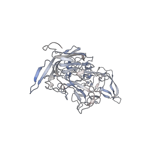 29598_8fyw_l_v1-0
Cryo-EM Structure of genome containing AAV2