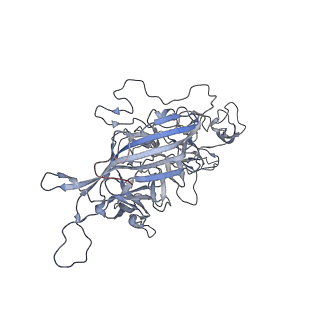 29598_8fyw_m_v1-0
Cryo-EM Structure of genome containing AAV2