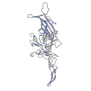 29598_8fyw_n_v1-0
Cryo-EM Structure of genome containing AAV2
