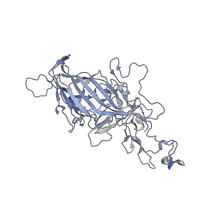 29598_8fyw_o_v1-0
Cryo-EM Structure of genome containing AAV2