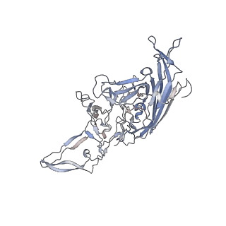 29598_8fyw_p_v1-0
Cryo-EM Structure of genome containing AAV2