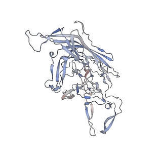 29598_8fyw_q_v1-0
Cryo-EM Structure of genome containing AAV2