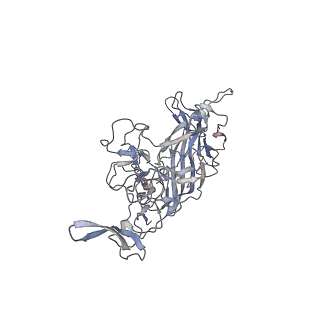 29598_8fyw_r_v1-0
Cryo-EM Structure of genome containing AAV2