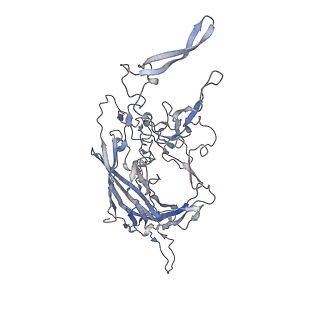 29598_8fyw_t_v1-0
Cryo-EM Structure of genome containing AAV2