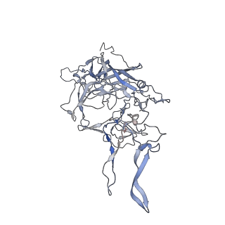 29598_8fyw_u_v1-0
Cryo-EM Structure of genome containing AAV2
