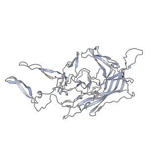 29598_8fyw_v_v1-0
Cryo-EM Structure of genome containing AAV2