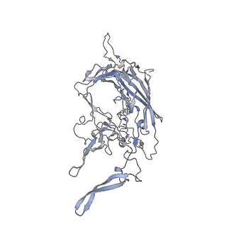 29598_8fyw_w_v1-0
Cryo-EM Structure of genome containing AAV2