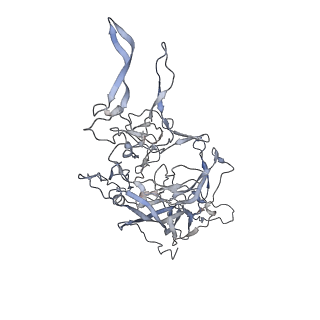 29598_8fyw_x_v1-0
Cryo-EM Structure of genome containing AAV2