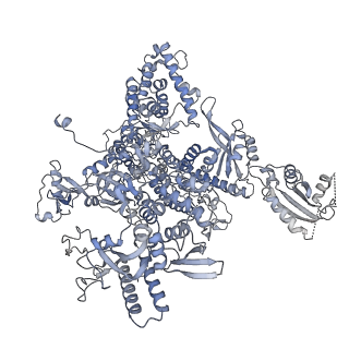 3378_5fyw_A_v1-3
Transcription initiation complex structures elucidate DNA opening (OC)