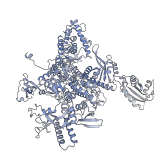 3378_5fyw_A_v2-0
Transcription initiation complex structures elucidate DNA opening (OC)