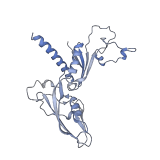 3378_5fyw_C_v2-0
Transcription initiation complex structures elucidate DNA opening (OC)