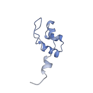3378_5fyw_J_v1-3
Transcription initiation complex structures elucidate DNA opening (OC)