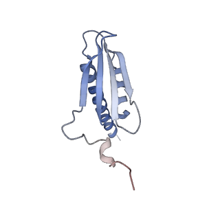 3378_5fyw_K_v1-3
Transcription initiation complex structures elucidate DNA opening (OC)