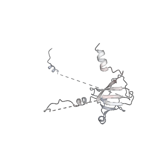 3378_5fyw_Q_v1-3
Transcription initiation complex structures elucidate DNA opening (OC)