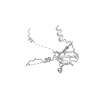 3378_5fyw_Q_v2-0
Transcription initiation complex structures elucidate DNA opening (OC)
