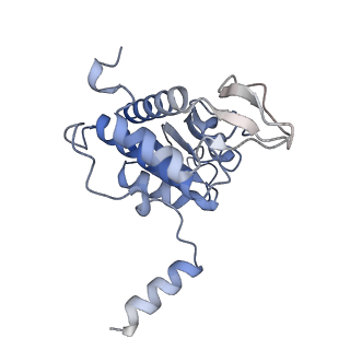 4327_6fyx_A_v1-2
Structure of a partial yeast 48S preinitiation complex with eIF5 N-terminal domain (model C1)