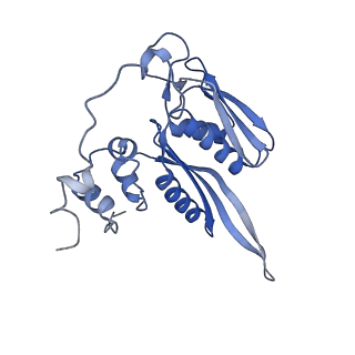4327_6fyx_C_v1-2
Structure of a partial yeast 48S preinitiation complex with eIF5 N-terminal domain (model C1)