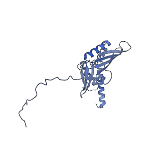 4327_6fyx_D_v1-2
Structure of a partial yeast 48S preinitiation complex with eIF5 N-terminal domain (model C1)