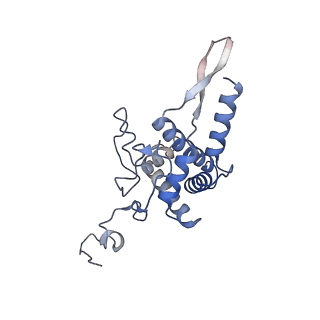 4327_6fyx_F_v1-2
Structure of a partial yeast 48S preinitiation complex with eIF5 N-terminal domain (model C1)