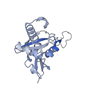 4327_6fyx_H_v1-2
Structure of a partial yeast 48S preinitiation complex with eIF5 N-terminal domain (model C1)