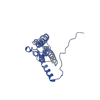 4327_6fyx_J_v1-2
Structure of a partial yeast 48S preinitiation complex with eIF5 N-terminal domain (model C1)