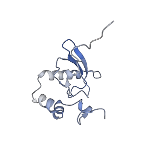 4327_6fyx_P_v1-2
Structure of a partial yeast 48S preinitiation complex with eIF5 N-terminal domain (model C1)