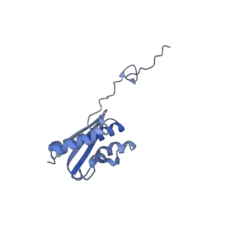 4327_6fyx_Q_v1-2
Structure of a partial yeast 48S preinitiation complex with eIF5 N-terminal domain (model C1)