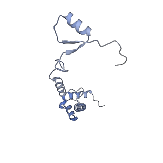 4327_6fyx_R_v1-2
Structure of a partial yeast 48S preinitiation complex with eIF5 N-terminal domain (model C1)
