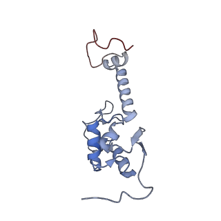 4327_6fyx_S_v1-2
Structure of a partial yeast 48S preinitiation complex with eIF5 N-terminal domain (model C1)