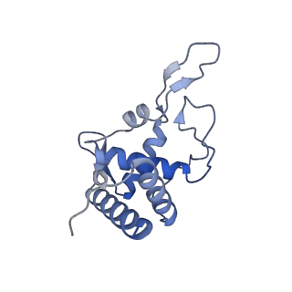 4327_6fyx_T_v1-2
Structure of a partial yeast 48S preinitiation complex with eIF5 N-terminal domain (model C1)