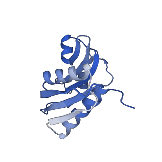 4327_6fyx_W_v1-2
Structure of a partial yeast 48S preinitiation complex with eIF5 N-terminal domain (model C1)