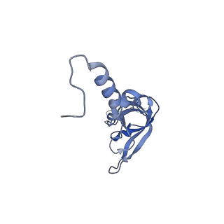 4327_6fyx_X_v1-2
Structure of a partial yeast 48S preinitiation complex with eIF5 N-terminal domain (model C1)