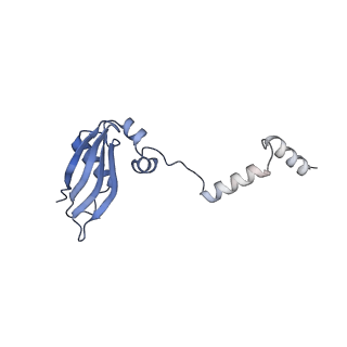 4327_6fyx_Y_v1-2
Structure of a partial yeast 48S preinitiation complex with eIF5 N-terminal domain (model C1)