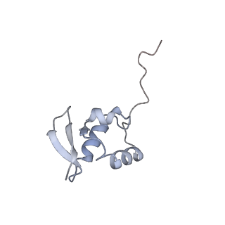 4327_6fyx_Z_v1-2
Structure of a partial yeast 48S preinitiation complex with eIF5 N-terminal domain (model C1)