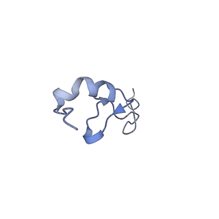 4327_6fyx_d_v1-2
Structure of a partial yeast 48S preinitiation complex with eIF5 N-terminal domain (model C1)