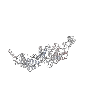 4327_6fyx_q_v1-2
Structure of a partial yeast 48S preinitiation complex with eIF5 N-terminal domain (model C1)